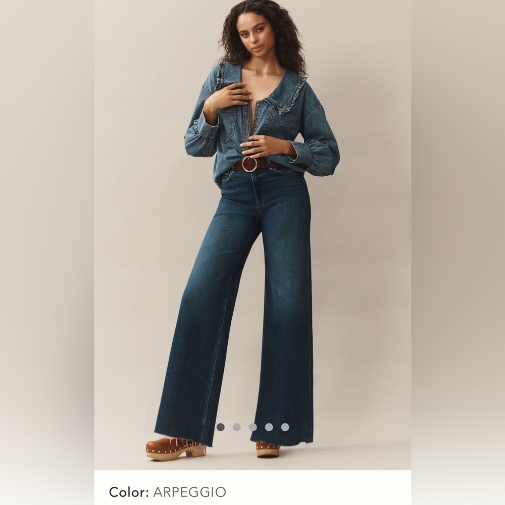 PAIGE Anessa Wide Leg Jeans in Arpeggio 29P